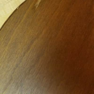 Minstrel  Acoustic Guitar image 6