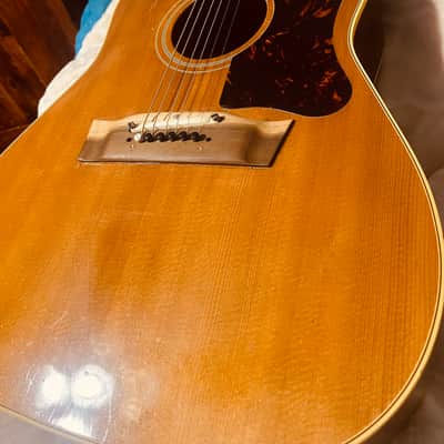 Gibson J-50 Adjustable Bridge Gibson J-50 1962 - Natural image 1
