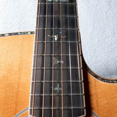 PRS SE A60E Angelus + Hard Case image 13