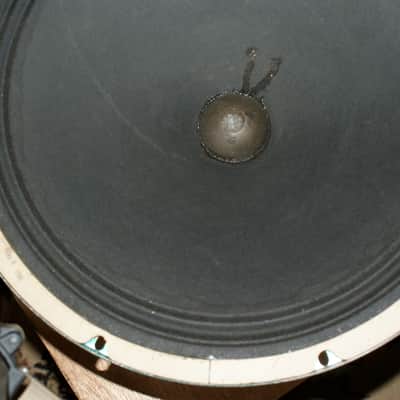 Ampeg B 15N CTS Custom Ampeg Vintage 1966 Speaker image 7