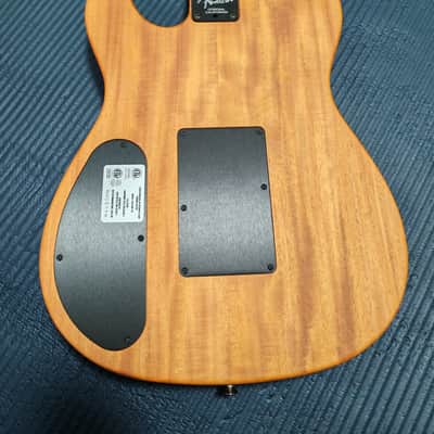 2025 Fender American Acoustasonic Telecaster Kuniyoshi Collection Geisha - FENDER EXPERIENCE 2025 Tokyo Flagship Exclusive Limited Edition image 18