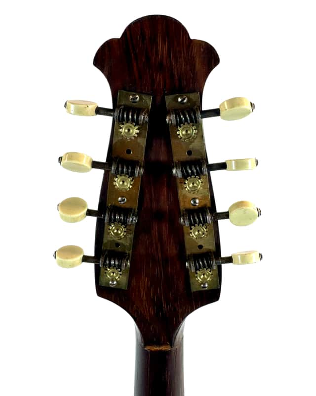 Neapolitan Mandolin G. Kasermann Style 1920's | Reverb