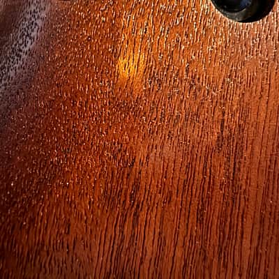 Jackson Dinky DKRA 2022 - Open-Pore Ash image 10