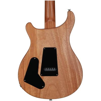 PRS Paul Reed Smith S2 Special Semi-Hollow Reclaimed LTD Electric Guitar (with Gig Bag) image 5