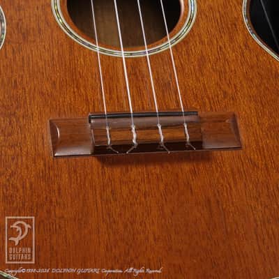 KAWAKAMI GUITARS＜MIJ> T-1M DX 2006 image 10