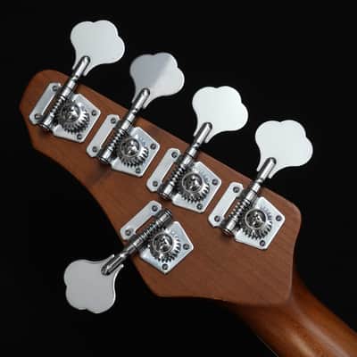 Dhatarattha DEB5 Jazz Bass 5 string - PAISLEY RELIC image 13