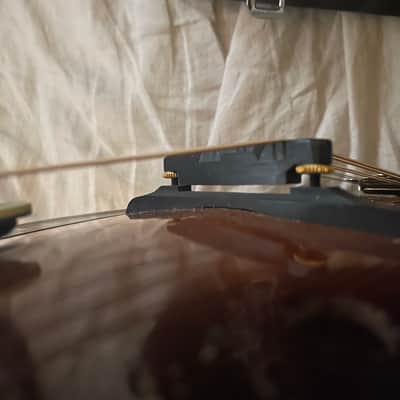 Randy Wood F-5 Mandolin Calton Case image 14