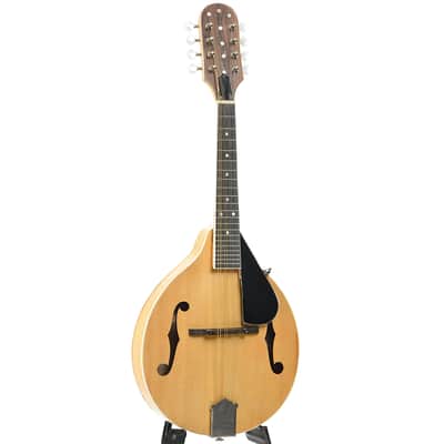 Jordan L. Buck A-Style Kit Mandolin (2024) image 3