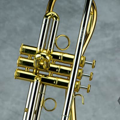 Carol Brass CTR-5280L-GLT (Euro) Bb trumpet, clear lacquer image 3