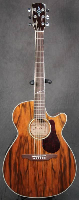 Alvarez AF60CK Acoustic Electric With Hardcase image 1