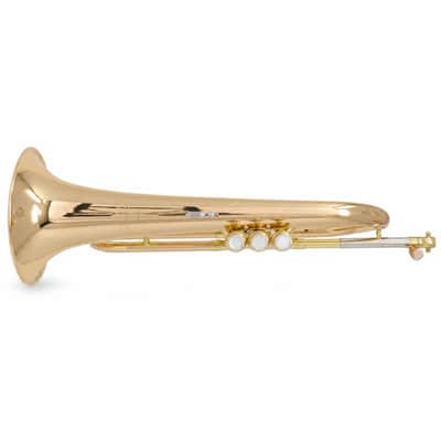 Yamaha YFH-8315IIG Custom Series Professional Bb Flugelhorn in Clear Lacquer SN 473947 image 6