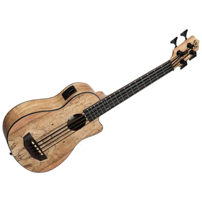 Spalted Maple U-Bass + housse Kala image 2