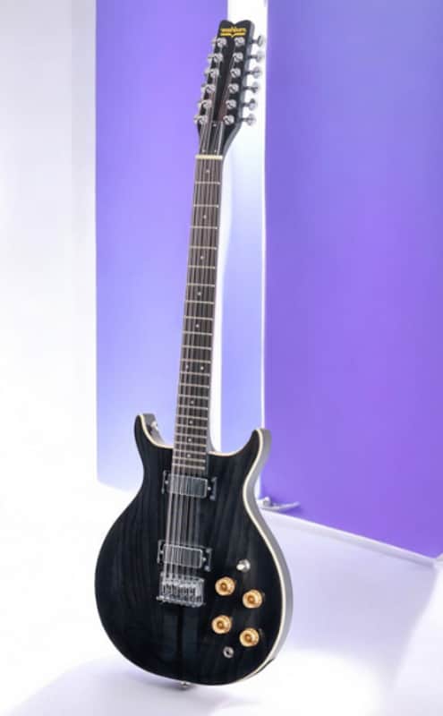 Washburn H12TB | Wing Series Hawk 12-String Electric Guitar w/Gigbag, Trans Black, Full Warranty! image 1