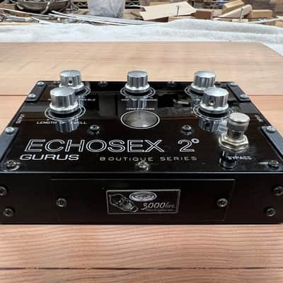 Early Gurus Echosex 2 Echorec Replica image 3