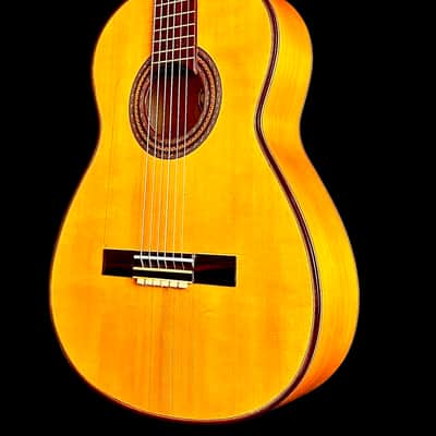 Edgar Piña Flamenco Concert Guitar-Spruce/Cypress image 11