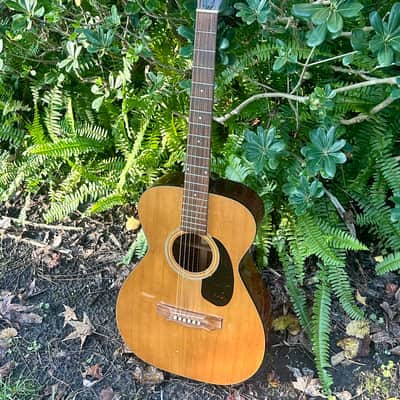 1973 Guild F-20 Troubador image 1
