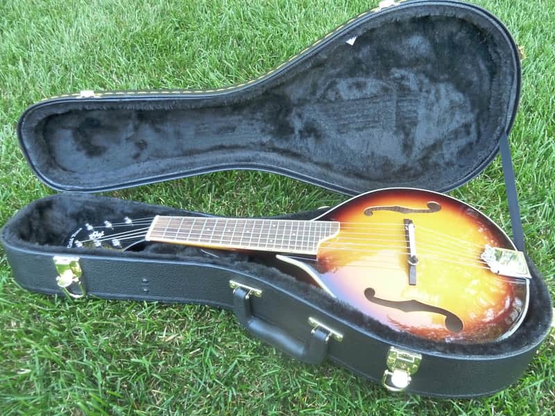 Gold Tone GM-6 Manditar image 1