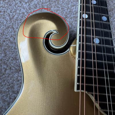 Eastman MD415-GD 2019 - Nitro! image 8