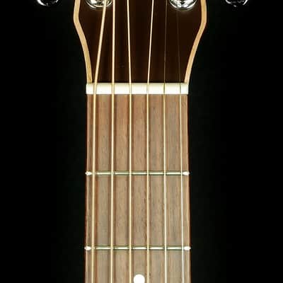 New! Seagull Guitars Coastline S6 Cedar Top Folk Acoustic Guitar image 7