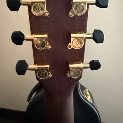 Breedlove Performer Pro Concertina A CE Spruce-Rosewood w/OHSC image 4