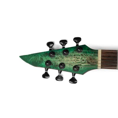 EART EXP-H6-ULTRA, Roasted Bookmatch Mahongay,24 Stainless Steel Frets image 7