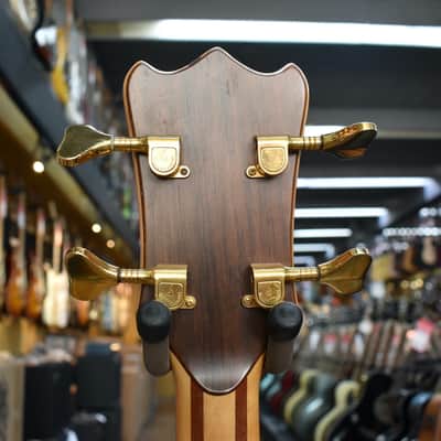 Alembic/Ellio Martina Brown Bass 1981 w/Ellio Martina Neck, Kahler Bridge, Hard Case image 8