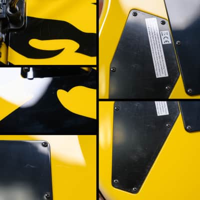 ESP Signature Series George Lynch M-1 Tiger Yellow Bengal Tiger Graphic 2023 w/OHSC image 12