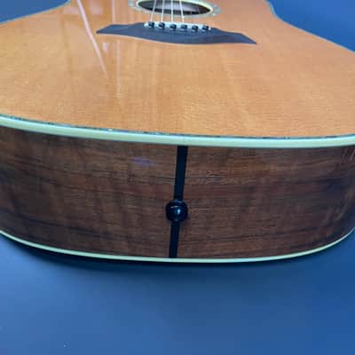 1998 Taylor W10 Solid Walnut Dreadnought Acoustic Guitar w/ OHSC, Original Accessories image 14