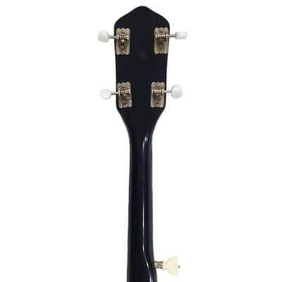 1960's KAY 5-STRING CLOSED BACK BANJO image 6