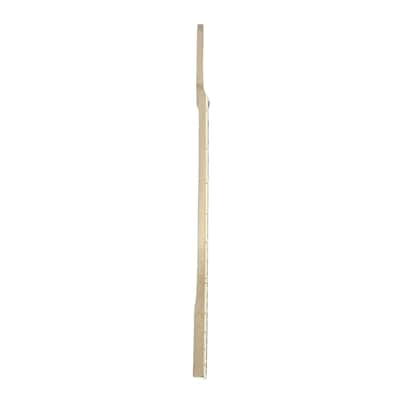 Electric Guitar Neck Replacement Maple/Rosewood Neck with Binding (30" Scale) image 3