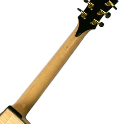 Eastman AR880CE-BD image 6