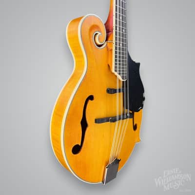 Epiphone MM-50E Professional Mandolin 2010s - Vintage Natural Bild 4