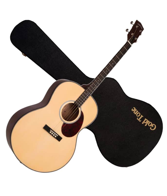 GOLD TONE TG-10 4-string Tenor GUITAR new w/ Haed Case - Spruce Top image 1