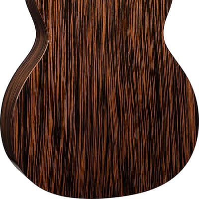 LAG HV50-N-ACE Hyvibe 50 Nylon Auditorium Bevel Cutaway Gloss w/Hybrid Gigbag image 3