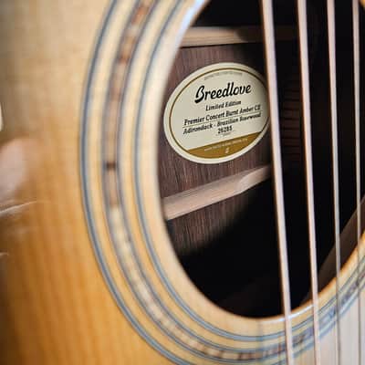 Breedlove Limited Edition Premier Concert CE Brazilian Rosewood 2021 - Amber Edgeburst image 5