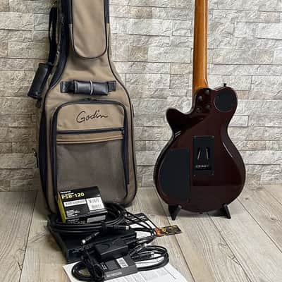 Godin 2010's xtSA Light Burst Flame w/ Gig Bag and Roland GI-10 and More! image 14