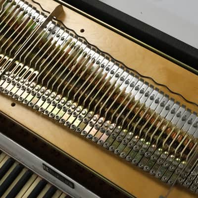 Fender Mark 1 Rhodes 73 Owned by Lord Huron image 19
