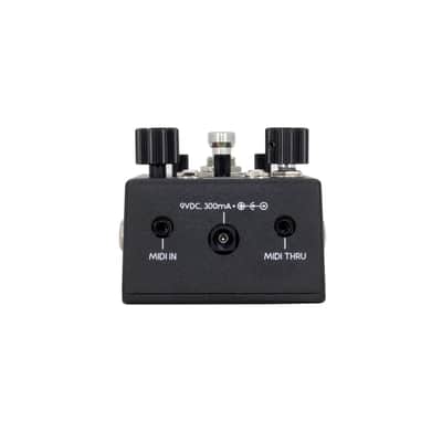 Walrus Audio Canvas Rehearsal Pedal image 5