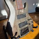 ESP LTD B-205SM 2016 - 2018 - See Thru Black Satin
