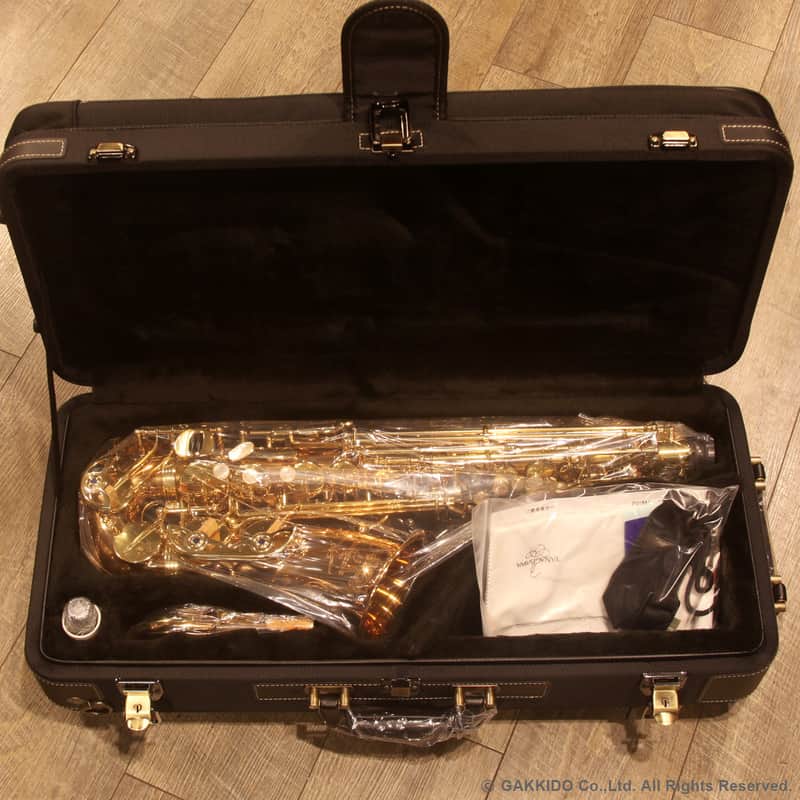 Yanagisawa A-WO20 Bronze model Elite Professional Alto Saxophone Clear Lacquer Finish MADE IN JAPAN image 1