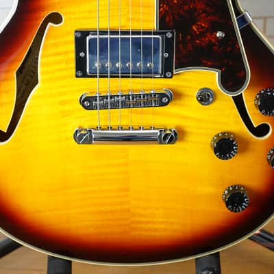 D'Angelico Premier Mini DC with Pau Ferro Fretboard - Dark Iced Tea Burst image 6