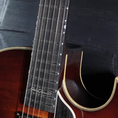 Eastman AR480CE John Pisano 30th Anniversary Archtop Electric Guitar Sunburst image 23