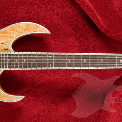 B.C. Rich Shredzilla Prophecy Archtop with Floyd Rose Spalted Maple image 2