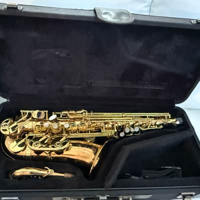 Yanagisawa A-WO20 Elite Professional Alto Saxophone - Bronze image 1