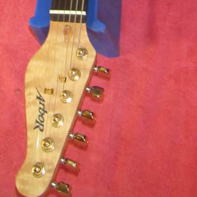 Arbor Strat style guitar 2000's? - Charcoal quilt w/Padded gig bag. image 6