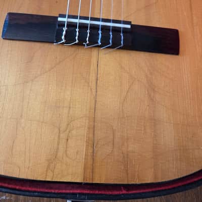 1967 Goya G-10 Classical nylon string acoustic guitar Folk Country Sweden image 5