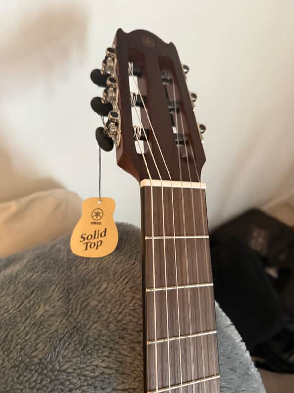 Brand New Yamaha NCX1C Classical Nylon Acoustic-Electric Guitar + Fishman Loudbox Mini Amp + Cable - Brand New image 1