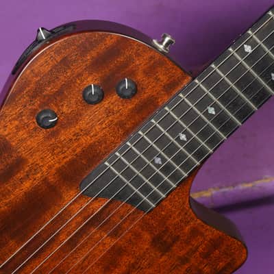 2014 Taylor T5z Classic Semihollow Acoustic/Electric Guitar (VIDEO! Fresh Work, Ready) image 5