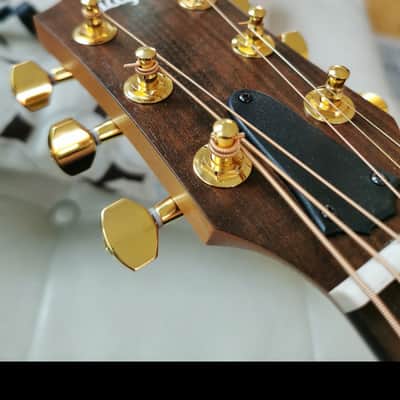Taylor  GS mini tuners 50th anniversary- Gold image 2
