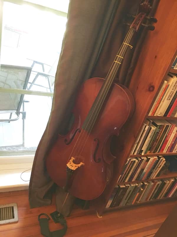 Samuel / Eastman VC80 4/4 Cello image 1